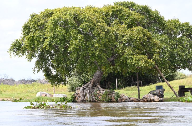 Chuvas ajudam, mas rios de MS seguem em alerta; Imasul monitora situação hídrica