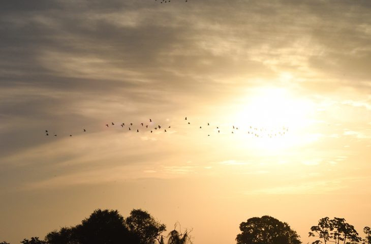 Previsão de sol e possibilidade de chuvas para este sábado em todo o Estado