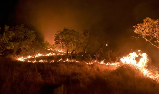 Brasil reduz em 12% emissões de gases do efeito estufa em 2023