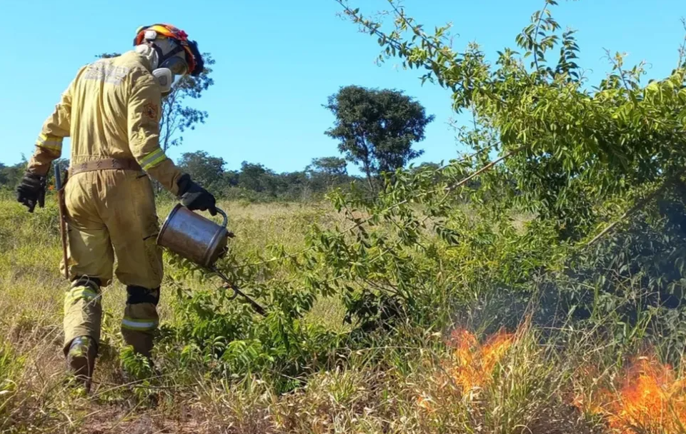 MS suspende queima controlada, técnica usada para prevenir incêndios no Pantanal