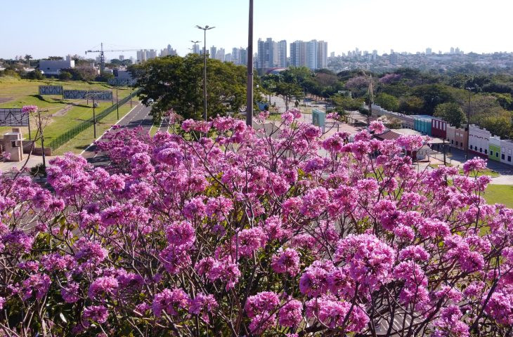 Tempo permanece estável na quinta-feira em Mato Grosso do Sul
