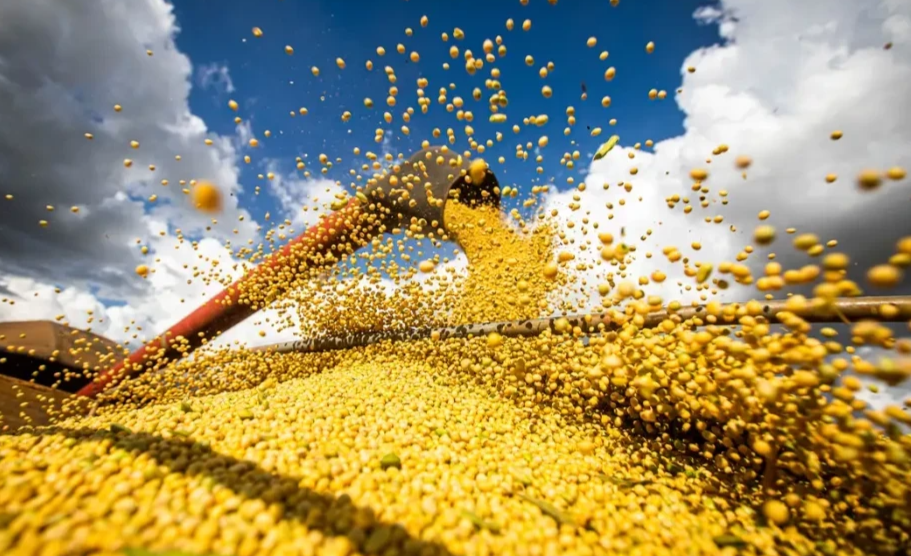 Brasil atinge novo recorde com 350 milhões de toneladas de grãos