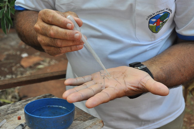 Prefeitura de Dourados intensifica aplicação de fumacê contra a dengue
