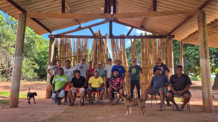 Indígenas Terena iniciam projeto de reflorestamento sustentável em Mato Grosso do Sul