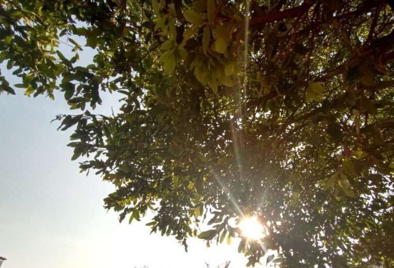 MS tem previsão de temperaturas elevadas para esta terça-feira