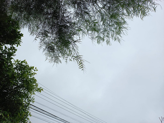 Frio continua em MS nos próximos dias com baixas temperaturas ao amanhecer