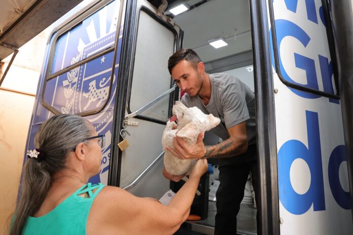 Prefeitura orienta que tutores levem animais em jejum para castração