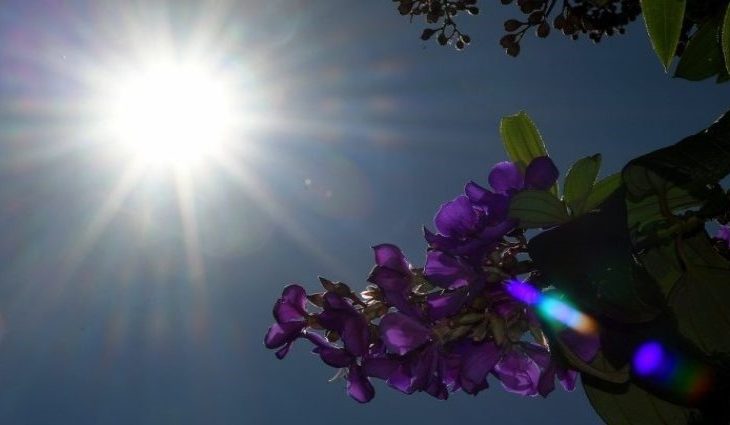 Meteorologia: veja a previsão do tempo para este sábado em Dourados