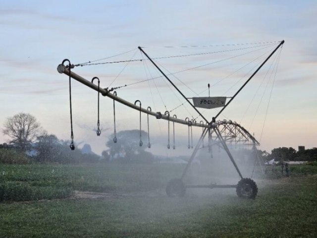 Primeiro polo de agricultura irrigada de MS abrange 26 municípios