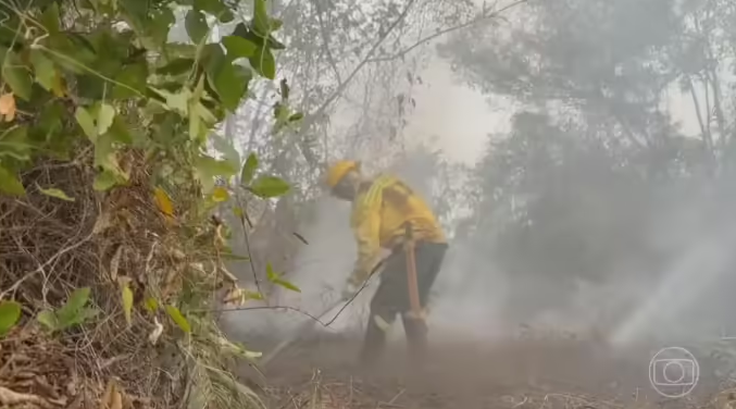 Focos de incêndio no Pantanal de MS estão controlados, mas bombeiros seguem em alerta