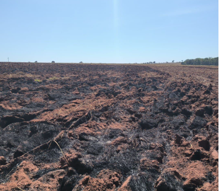 PMA autua queima irregular de 32 hectares durante Operação Focus em MS