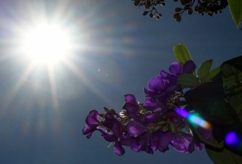 Previsão é de terça-feira com temperaturas em elevação em MS