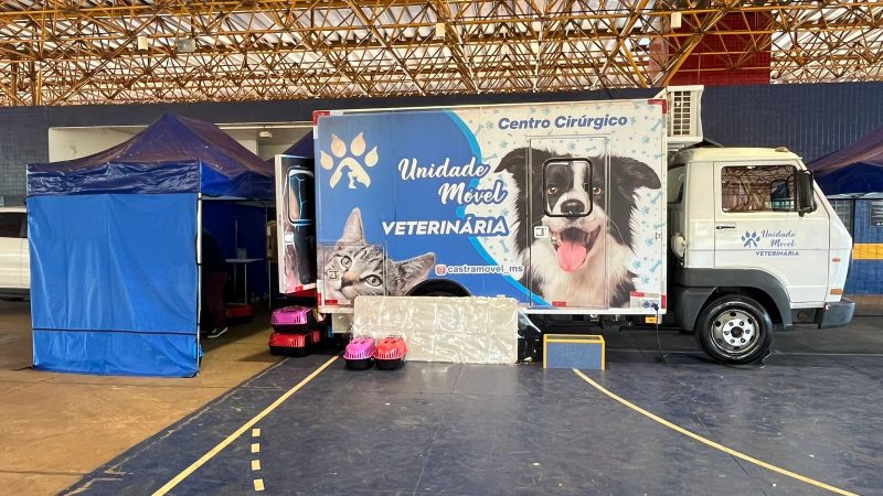 Prefeitura conclui primeira fase do Programa Municipal de Castração Animal