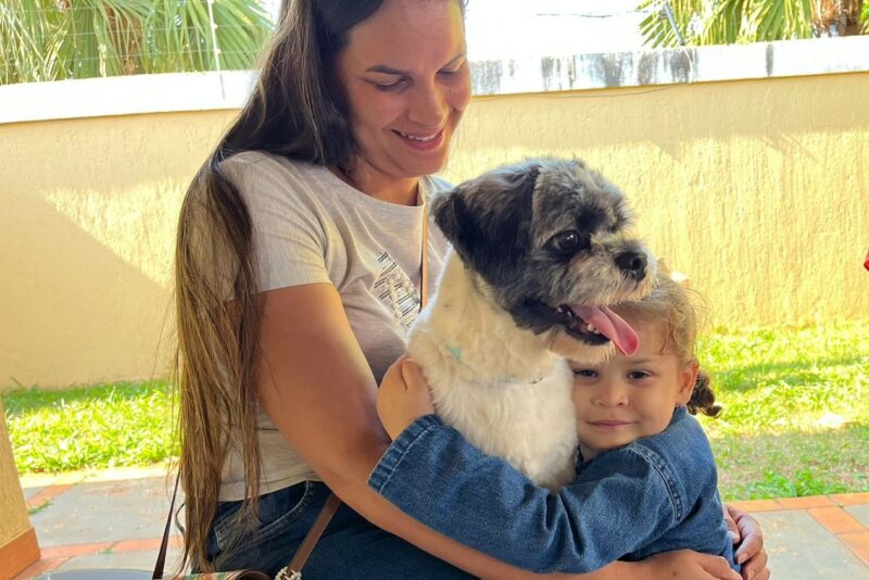 Inscrições para o Programa de Castração de Cães e Gatos reabrem nesta segunda-feira