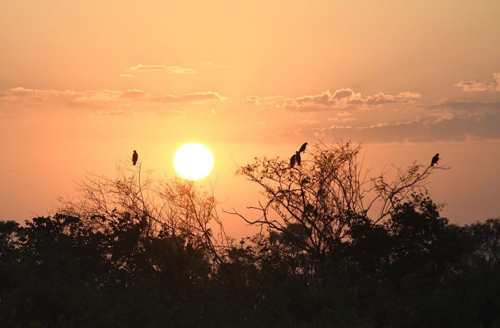 Em sábado de sol, ventos intensificam ar quente e seco em MS