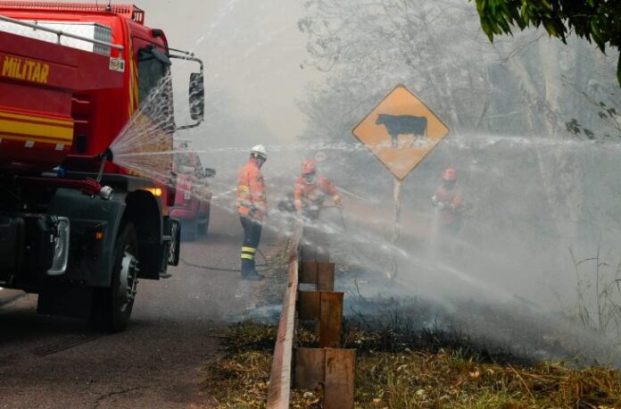 Chuva chega a várias regiões do Pantanal e ajuda a controlar incêndios florestais em MS