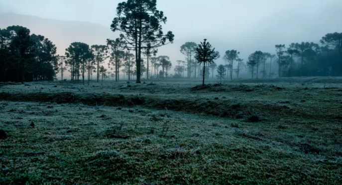Mato Grosso do Sul registra sensação térmica de -4.4°C neste sábado