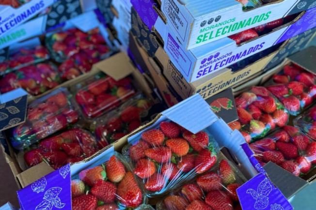 Em meio a febre do morango do amor, procura pela fruta aumenta e preço sobe 35%