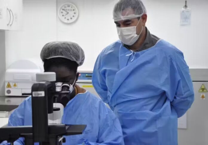 Fiocruz descobre como frear avanço do câncer de mama e impedir que o tumor se espalhe