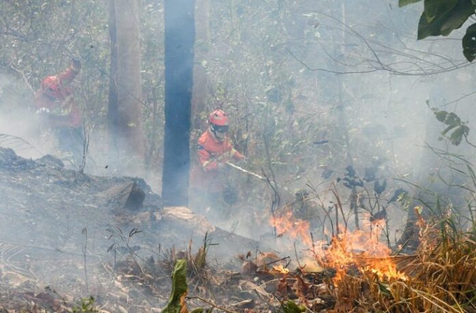 Operação Pantanal: bioma tem oito focos ativos mesmo após semana de frio e chuva em MS