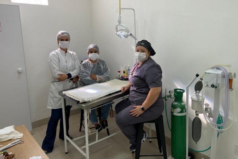 Programa de Castração de Cães e Gatos inicia procedimentos em animais selecionados