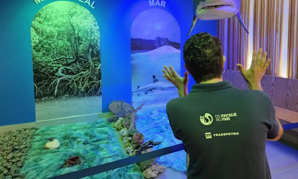 Apenas 5% dos recursos dos oceanos são conhecidos, diz pesquisadora