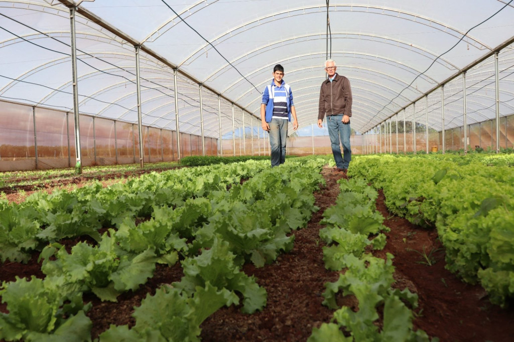 Edital para extensão rural na agricultura familiar recebe mais de 100 propostas