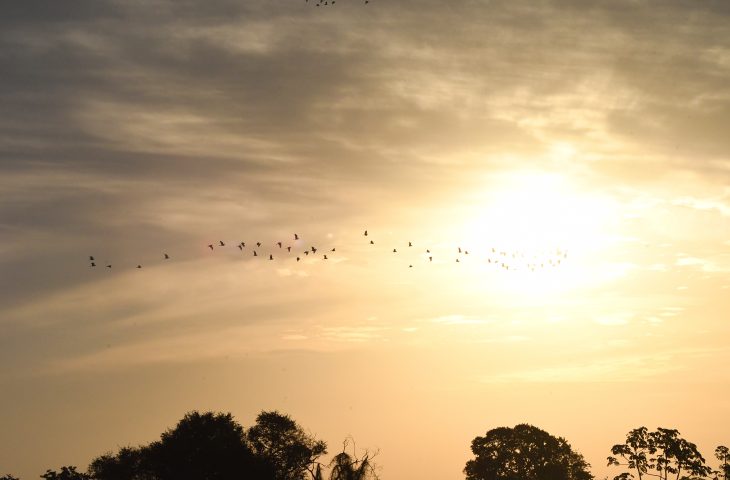 Terça-feira tem previsão de altas temperaturas e probabilidade de chuvas em MS