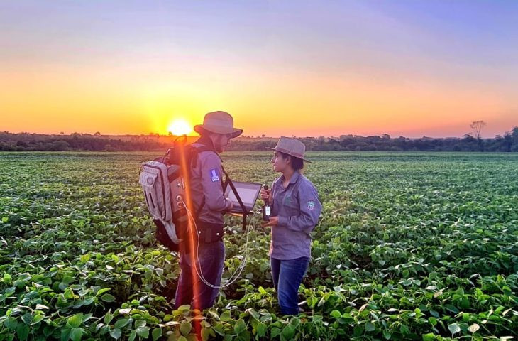 Florestas plantadas em MS contribuem para a meta de carbono neutro