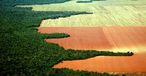 O Estado do Rio Grande do Sul: migração, agronegócio e meio ambiente