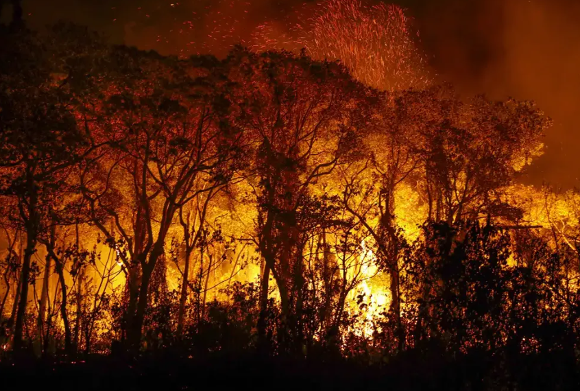 Pantanal nunca esteve tão seco e com potencial inflamável como neste ano, diz nota técnica
