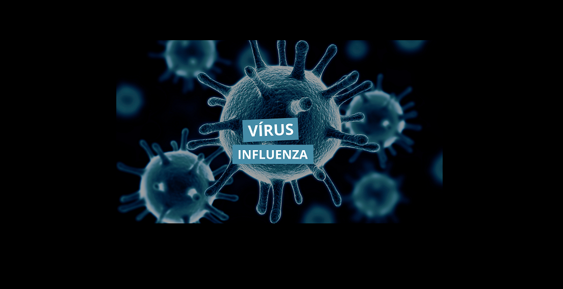 MS enfrenta surto de Influenza com alta de internações e 68 mortes em 2025