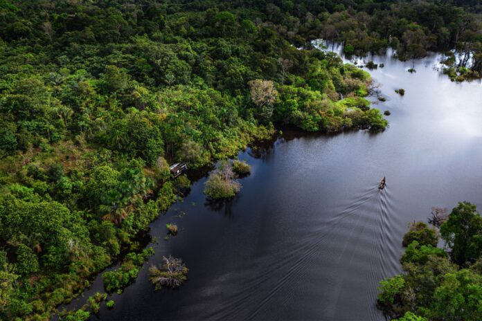 Senai-MS participa de estudo que transforma resíduos de pesca na Amazônia em combustível