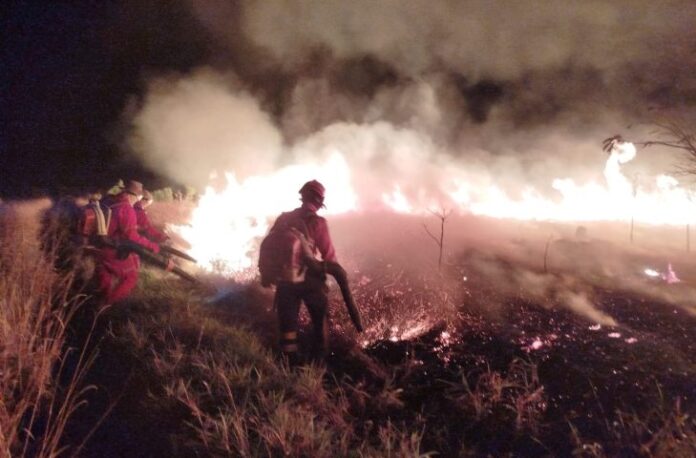Bombeiros utilizam estratégias de contenção para frear fogo em parque de MS