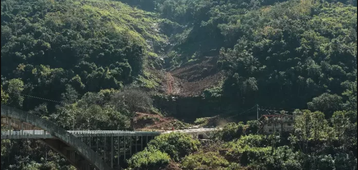 Mata Atlântica: desmatamento cai só 2% em um ano e pode levar à surtos na saúde pública