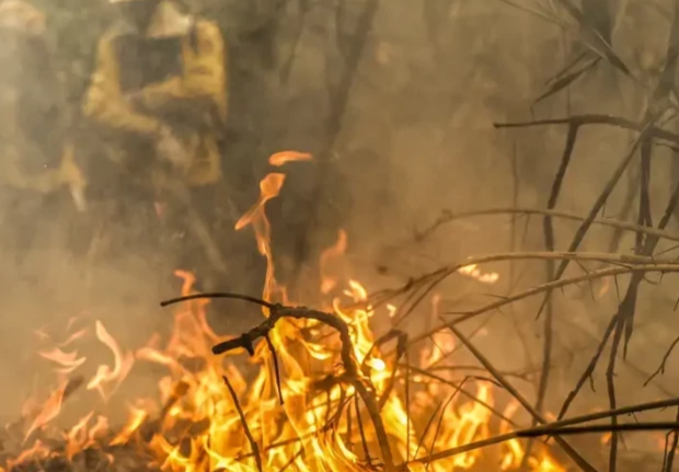 Pantanal é o bioma mais atingido pelo aumento da temperatura no país