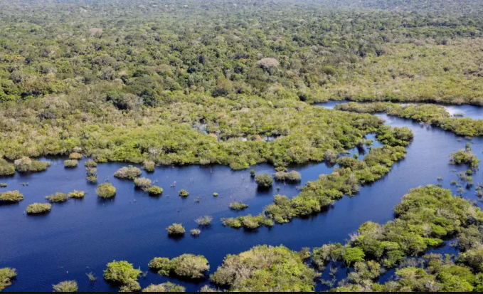 Quase todos os biomas registram queda no desmatamento em 2024; Pantanal lidera com maior redução