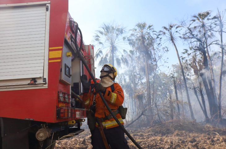 Com seis focos ativos, incêndios no Pantanal são intensificados devido a condições climáticas