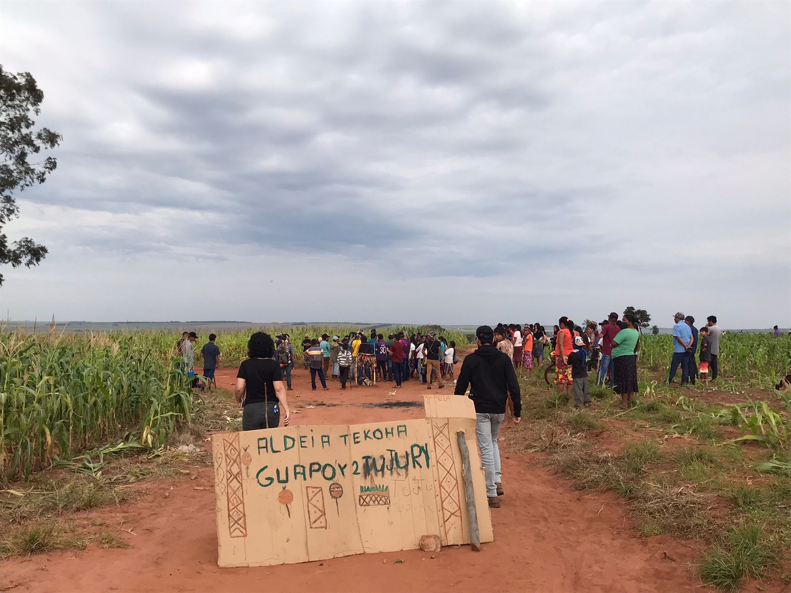Mais de 70 organizações prestam solidariedade aos Guarani e Kaiowá de Amambai