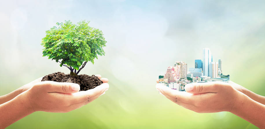 Transformando Dourados em um modelo de sustentabilidade urbana: desafios e oportunidades para as eleições municipais