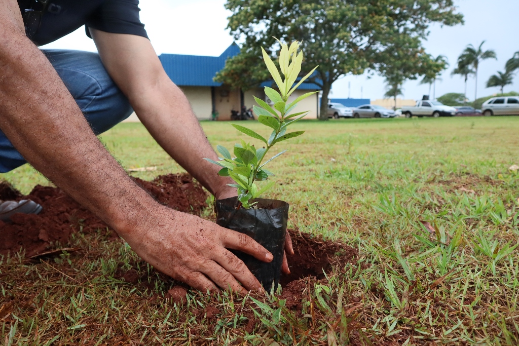 Prefeitura realiza XXI Semana do Meio Ambiente com foco nas mudanças climáticas