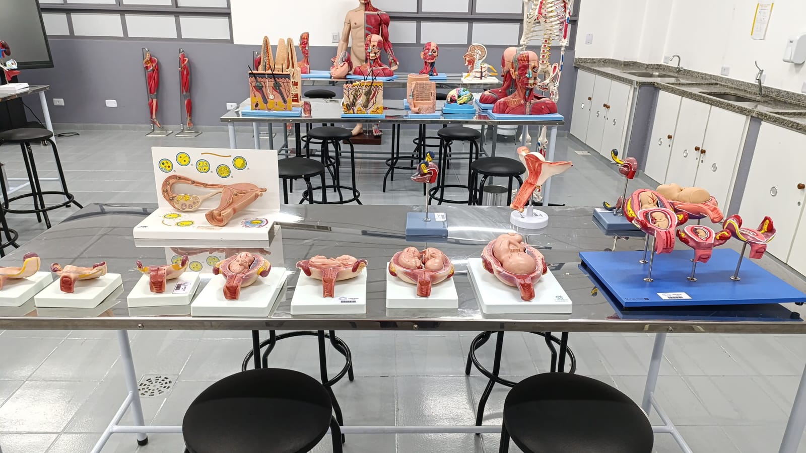 FMD está com inscrições abertas para curso de Medicina