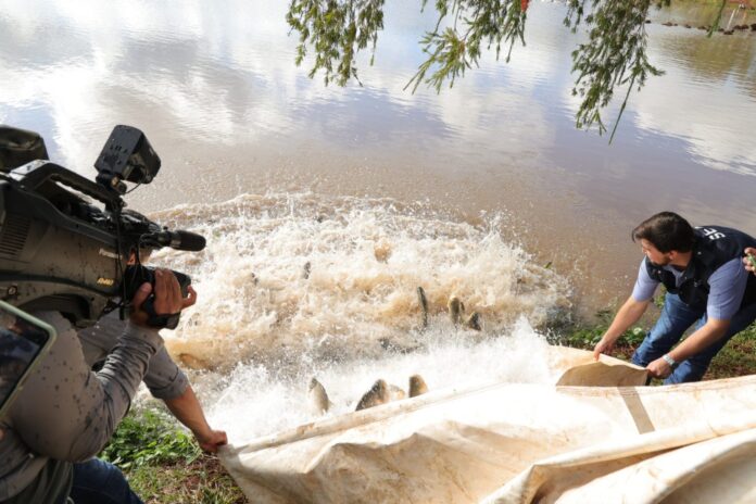 Parque Antenor Martins recebe 2,5 toneladas de peixes para Festa da Páscoa