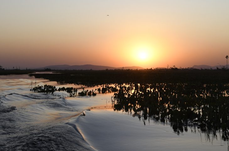 Sexta-feira será de sol e pancadas de chuva em Mato Grosso do Sul, prevê o Cemtec