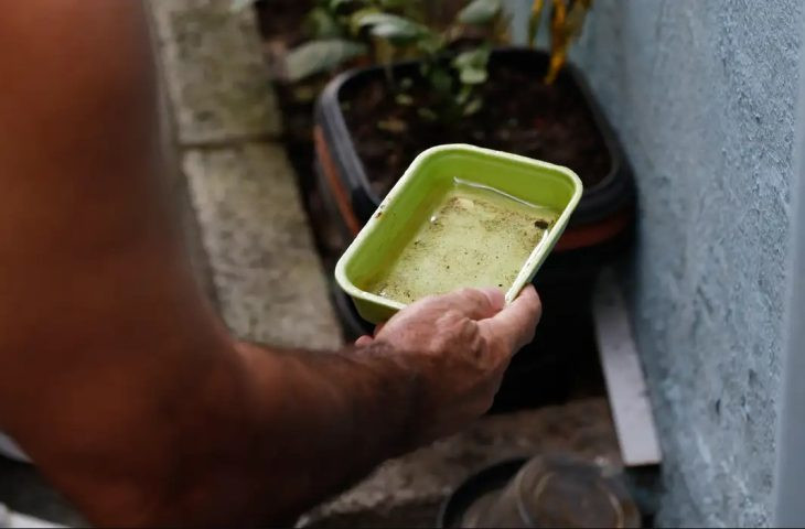 Saúde regsitra novas casos de dengue e total chega a 673 em MS