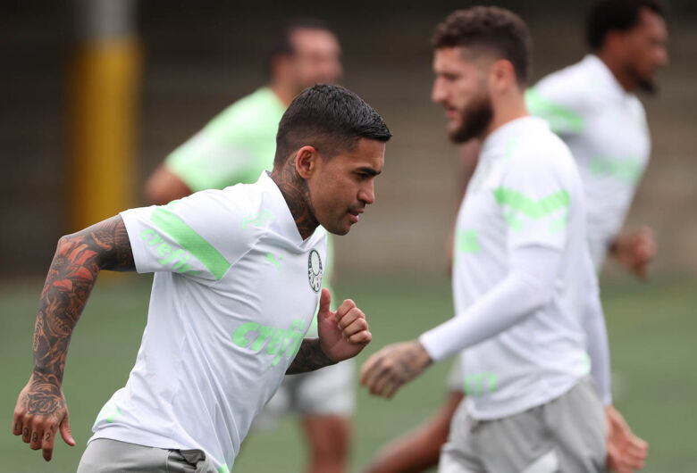 Palmeiras vai à Colômbia no primeiro confronto das quartas da Libertadores