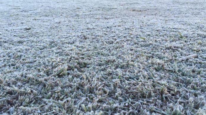 Frio intenso derruba temperaturas e provoca geada em 27 cidades de MS