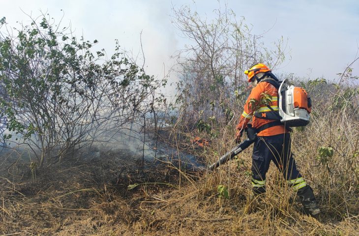 Pantanal de MS tem umidade em 10% e focos ativos em diferentes regiões