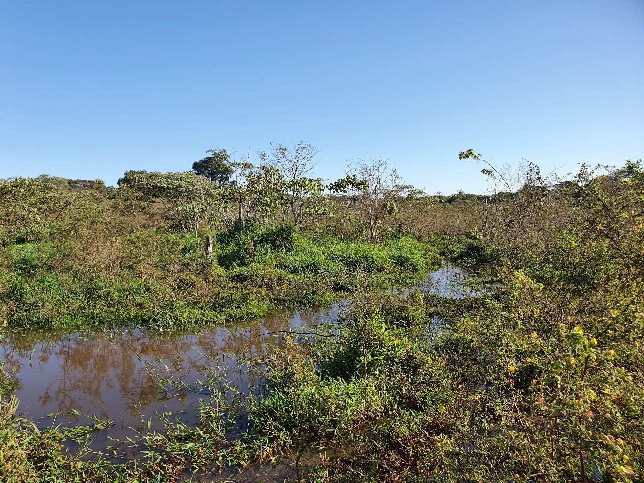 Dourados: Prefeitura intensifica atividades no Dia Mundial do Meio Ambiente