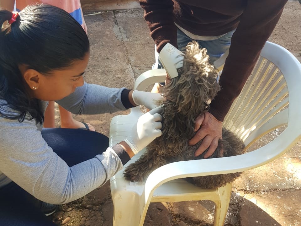 CCZ realiza vacinação antirrábica e teste da Leishmaniose Visceral Canina nesta sexta-feira (15)